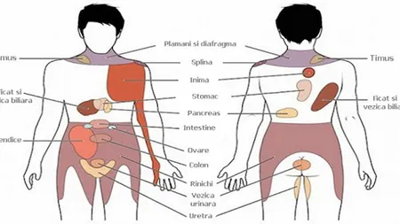 7 tipuri de durere pe care nu trebuie să le ignori sub nici o formă