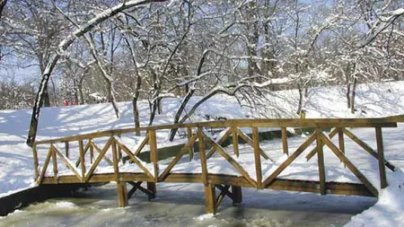 CALENDAR ORTODOX: Ce trebuie să facă toţi creştinii de Circovii de iarnă