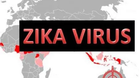 VIRUSUL ZIKA. O reuniune de coordonare în UE a acţiunilor de combatere a virusului va avea loc în februarie