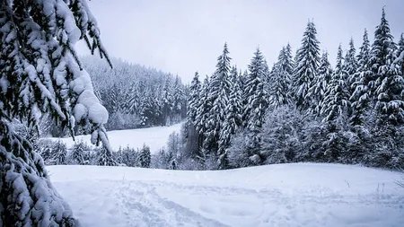 PROGNOZA METEO pe două săptămâni. Vremea se va încălzi uşor în zilele următoare