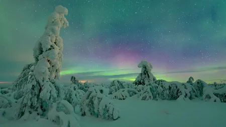 Vrei să te muţi într-o ţară nordică? Iată imagini INCREDIBILE