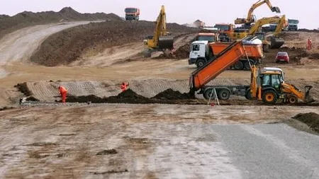 Autostrada Lugoj-Deva. Ce soluţie au găsit autorităţile pentru problema tunelurilor pentru urşi