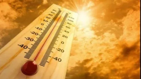 Record de temperatură la mijlocul lunii februarie: 15 grade Celsius peste NORMAL