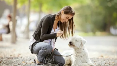 Ce înseamnă când visezi că îţi moare animalul de companie