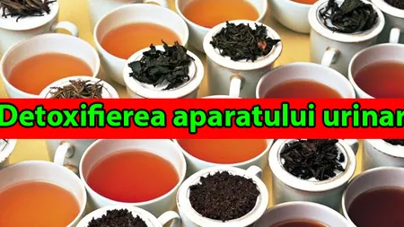 Detoxifierea aparatului urinar