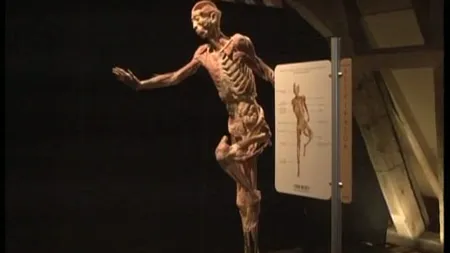 O EXPOZIŢIE controversată de CADAVRE, dată în judecată VIDEO
