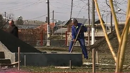 Plopi înlocuiţi cu arbori ginkgo biloba. Vezi câţi bani a plătit un primar din Constanţa pentru copaci