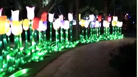 Cea mai mare grădină de lumini din lume, inaugurată la Dubai VIDEO