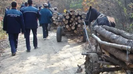 Faci bine şi găseşti rău: Bărbat din Argeş, agresat de hoţii de lemne şi AMENDAT de poliţie VIDEO