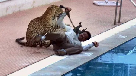 Panică într-o şcoală din India. Un leopard a intrat clădire şi a rănit şase persoane VIDEO