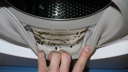Cum scapi de mucegaiul şi mirosurile neplăcute din maşina de spălat
