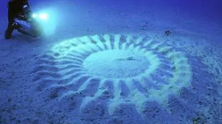 CERCURI MISTERIOASE pe fundul oceanului Atlantic. Incredibil de cine sunt făcute VIDEO