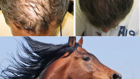 Ce se întâmplă dacă te speli pe cap cu şampon de cal? Efectul e incredibil