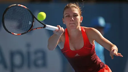 SIMONA HALEP-KAROLINA PLISKOVA 7-6, 4-6, 2-6 în Fed Cup. LIVE VIDEO meciul al doilea