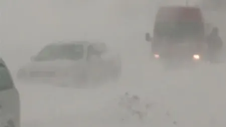 COD GALBEN de viscol în zonele înalte din Sibiu