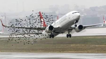 Un Boeing 767, aterizare de urgenţă