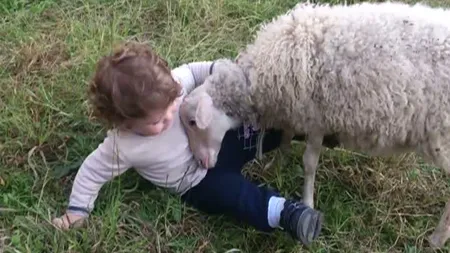 Prietenie inedită între un copil şi o oaie. Imaginile îţi vor face ziua mai frumoasă VIDEO