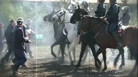 Cum se pregătesc jandarmii călare pentru intervenţii VIDEO
