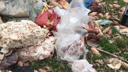 Anchetă de proporţii la Buzău. Trei tone de carne în termen de valabilitate, găsite pe un câmp VIDEO