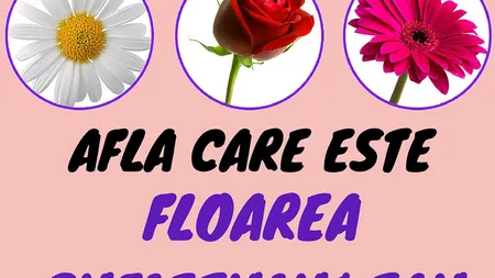 Care este floarea sufletului tău în funcţie de ziua în care te-ai născut