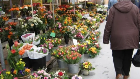 Şocant, şoferiţă tâlhărită în Bucureşti. Urmăriţi de poliţie, hoţii au intrat cu maşina într-o florărie