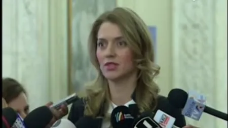 Gorghiu, despre procesul PNL împotriva Guvernului: E suficient timp pentru al doilea tur de scrutin la alegerile locale