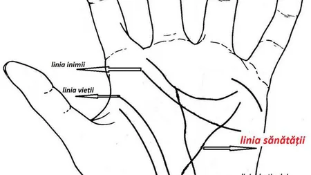 Află ce afecţiuni poţi avea după cum arată linia sănătăţii din palmă. Ce înseamnă dacă îţi lipseşte