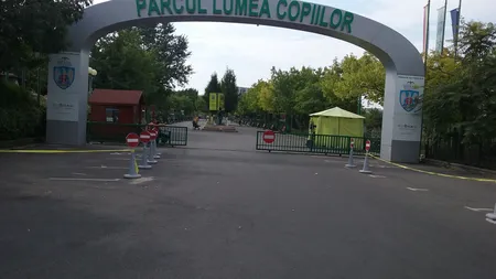 64 de cireşi japonezi, plantaţi în Parcul Lumea Copiilor, în memoria victimelor de la Coletiv