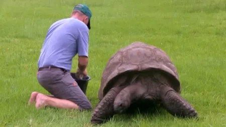 Cel mai bătrân animal de pe Pământ a făcut prima baie VIDEO