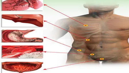 Cum să-ţi cureţi de toxine organele interne