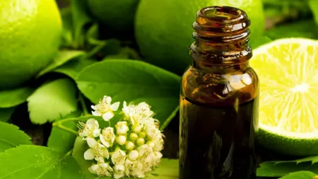 Ce poţi face cu uleiul esenţial de LIMETĂ? 10 întrebuinţări nebănuite