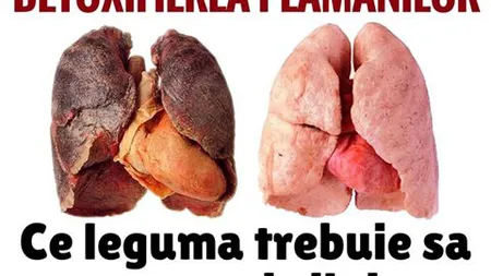 Cum se realizează detoxifierea plămânilor