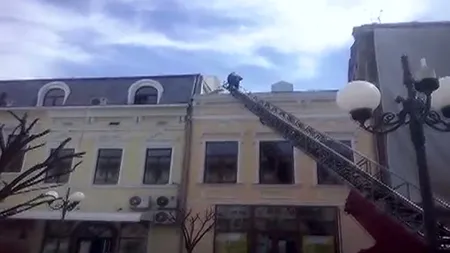 Operaţiune inedită de salvare, la Brăila. Un câine blocat de două zile pe un hotel, dat jos de pompieri VIDEO
