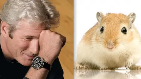 Zvonuri scandaloase despre celebrităţi: fapte controversate făcute la Hollywood