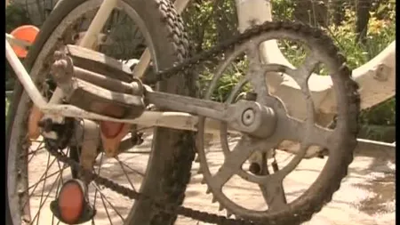 Fabrica de biciclete Pegas s-ar putea redeschide