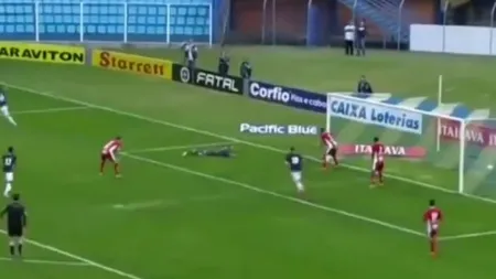 25 de secunde de amuzament maxim. Comedia erorilor, încheiată cu un autogol antologic VIDEO