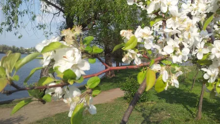 PROGNOZA METEO. Vreme capricioasă la început de aprilie. După o sâmbătă răcoroasă, vin călduri mari