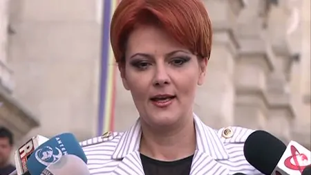 Lia Olguţa Vasilescu, la CAB: Doi denunţători mi-au cerut lucruri ilegale. Altul a sărit să mă bată UPDATE