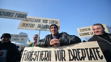 Aproximativ o mie de pădurari au protestat la sediul Guvernului şi au cerut demiterea ministrului Mediului