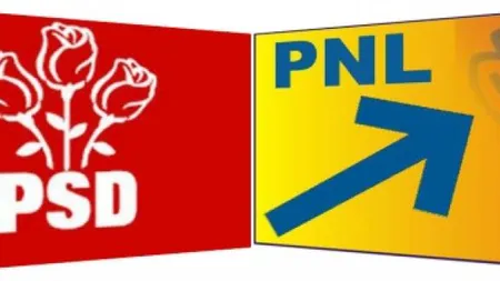 Sondaj INSCOP: PSD creşte în sondaje, PNL scade. Ce diferenţă este între cele două partide