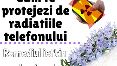Planta care te protejează de radiaţiile telefonului mobil