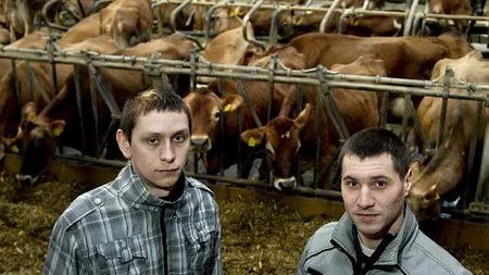 Români angajaţi în Danemarca, trataţi ca nişte sclavi