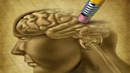 Tratamente naturiste. Antidoturi siberiene care alungă bătrâneţea