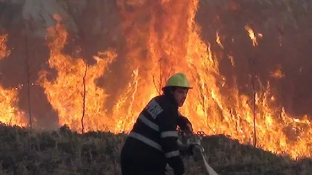 INCENDII de vegetaţie în mai multe judeţe. Zeci de hectare, mistuite de flăcări