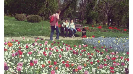 Sfârşit de săptămână în București. Vezi ce evenimente sunt în acest weekend