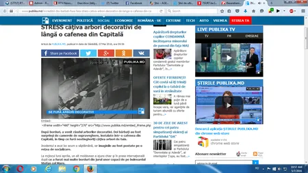Moldovenii fură şi arborii de pe străzile din Chişinău. Imagini incredibile surprinse de camere VIDEO