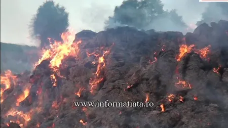 Ciobanul piroman. Cum s-a răzbunat un român pe patronul care nu l-a plătit
