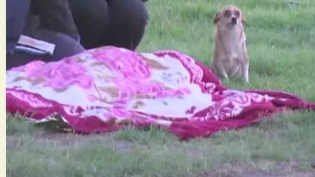 Un copil de 9 ani a murit înecat la Vaslui. Imagini EMOŢIONANTE cu câinele băieţelului VIDEO