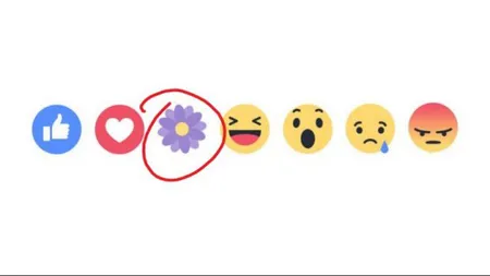 Facebook a făcut o nouă schimbare. Ai observat noul buton?