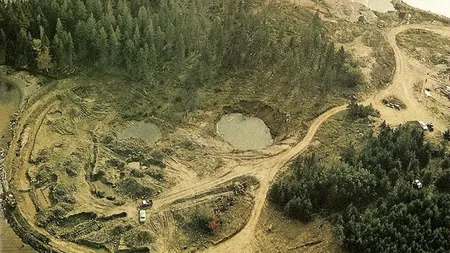 Comoara din Oak Island, unul dintre cele mai bine păzite secrete ale lumii